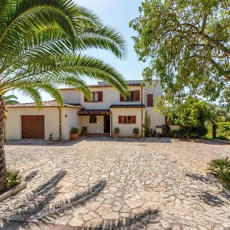 Finca Buena Vista